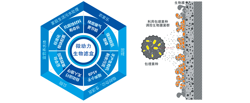1575945451688693.jpg 微動力生物濾盒.jpg